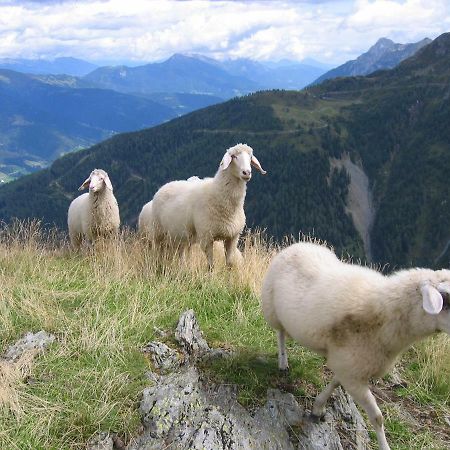 Pension Wilhelmer Sankt Lorenzen im Lesachtal Buitenkant foto
